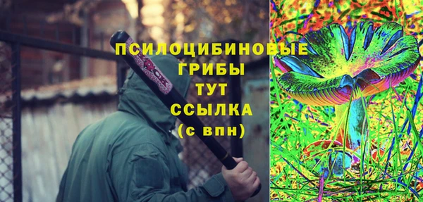 индика Белокуриха