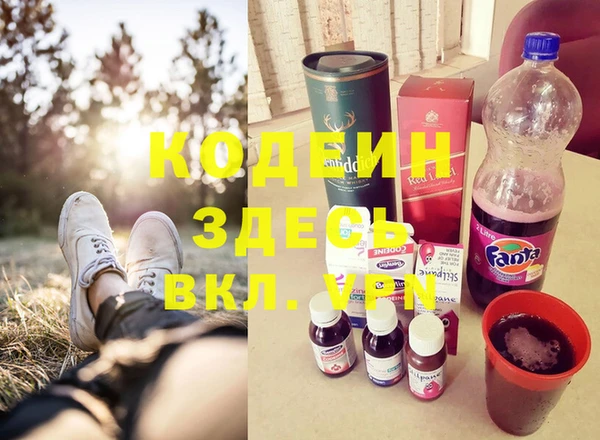 индика Белокуриха