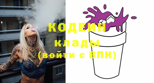 индика Белокуриха