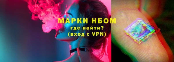 индика Белокуриха