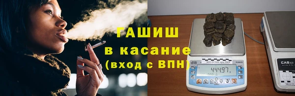 индика Белокуриха