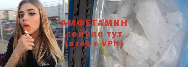 индика Белокуриха