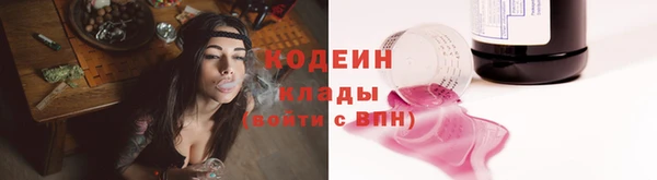 индика Белокуриха