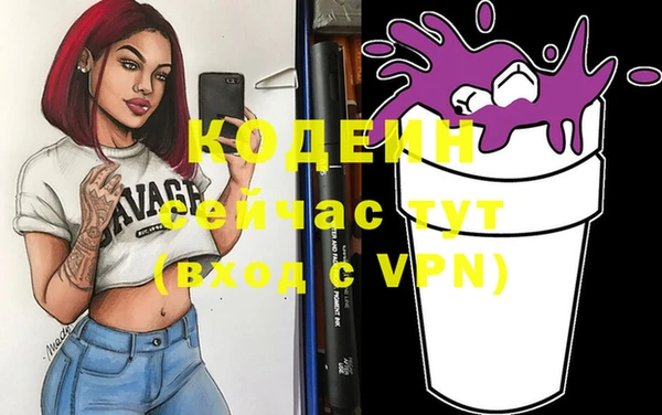 индика Белокуриха