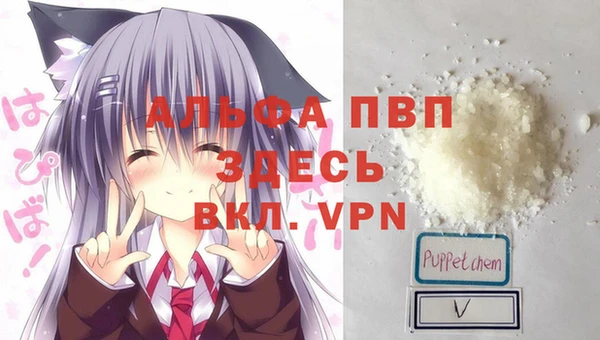 индика Белокуриха