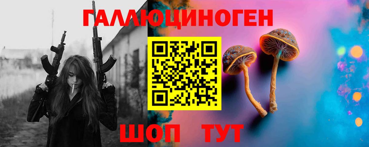 Псилоцибиновые грибы Psilocybine cubensis  Галлюциногенные грибы Psilocybe  Богданович  Вход с VPN 