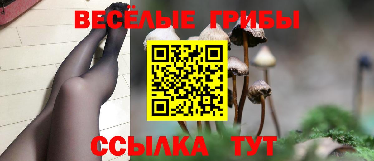 Галлюциногенные грибы GOLDEN TEACHER Богданович
